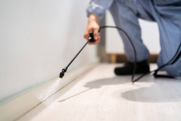 Licensed Ant Control service in Johnson City, KS - Nex Pest Control
