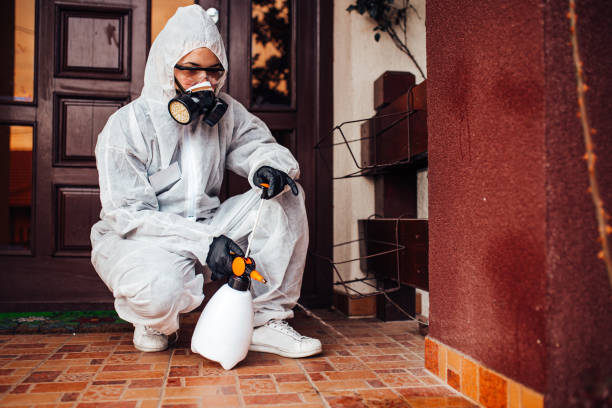 Reliable Ant Control contractor in Johnson City, KS by Nex Pest Control